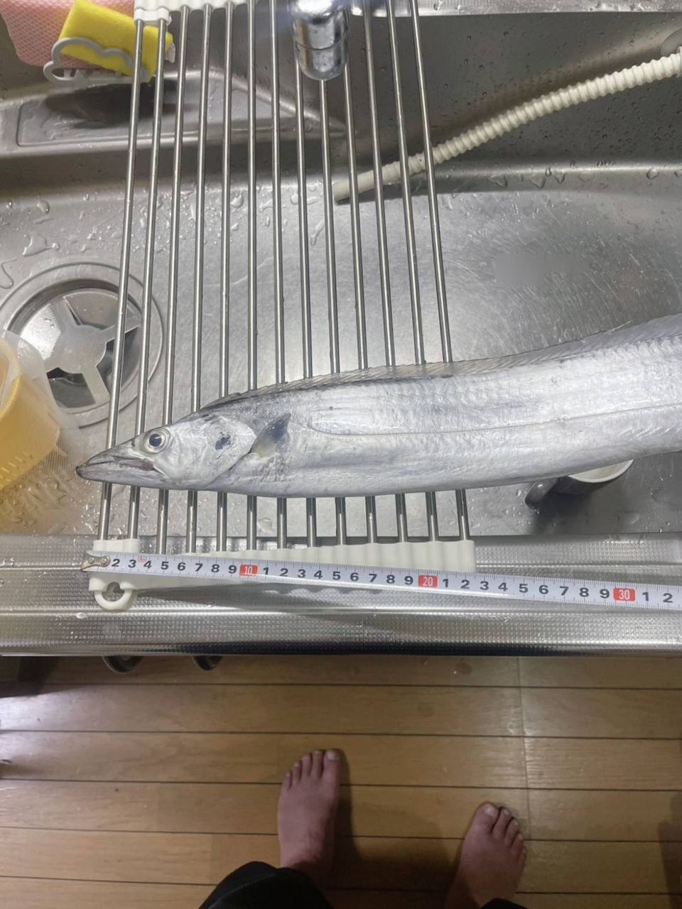 King of Fishermanさんの釣果 1枚目の画像