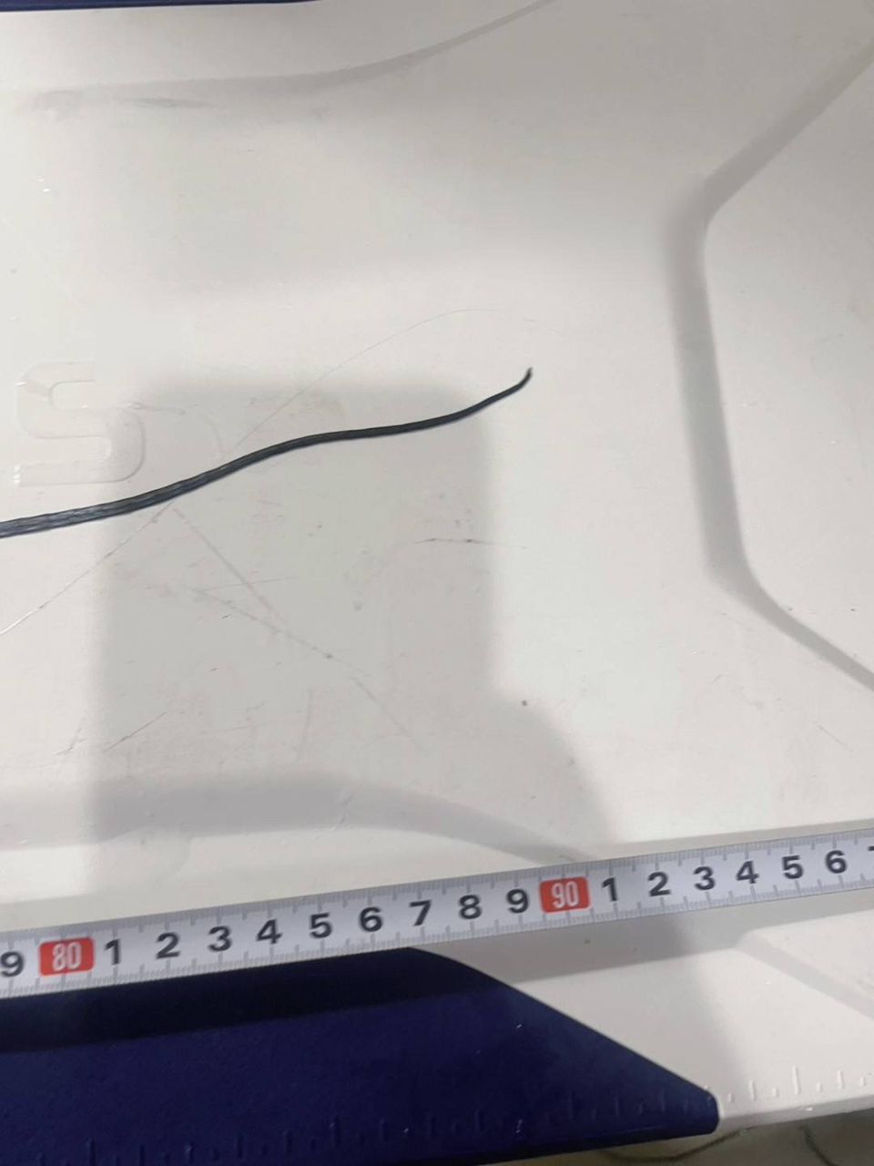 King of Fishermanさんの釣果 2枚目の画像