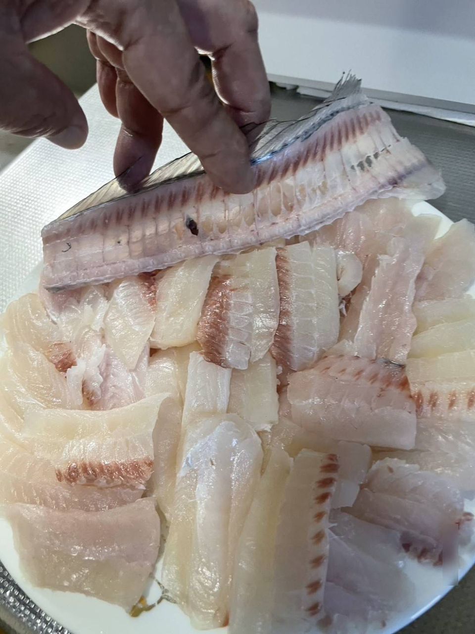 King of Fishermanさんの釣果 3枚目の画像