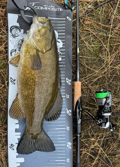スモールマウスバスの釣果