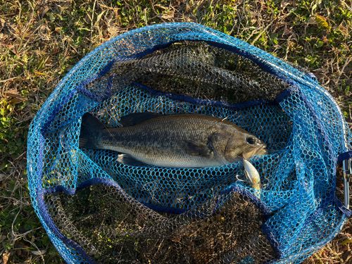 浜名湖フィッシングリゾート