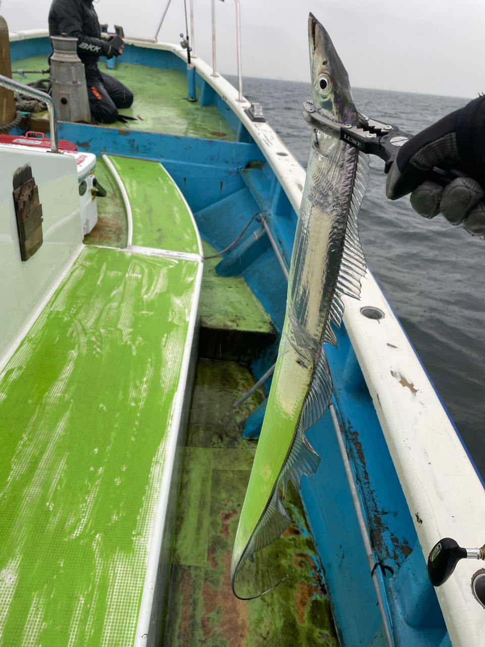 ANGLERSつんこさんの釣果 2枚目の画像