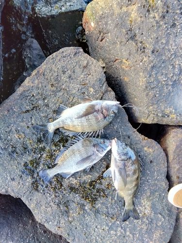 南芦屋浜ベランダ