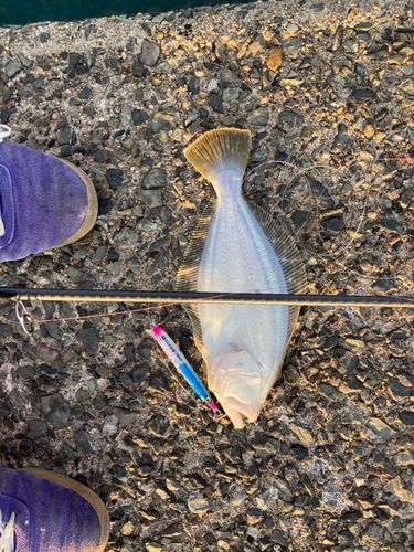 日明海峡釣り公園