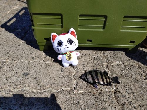 鞠山海遊パーク