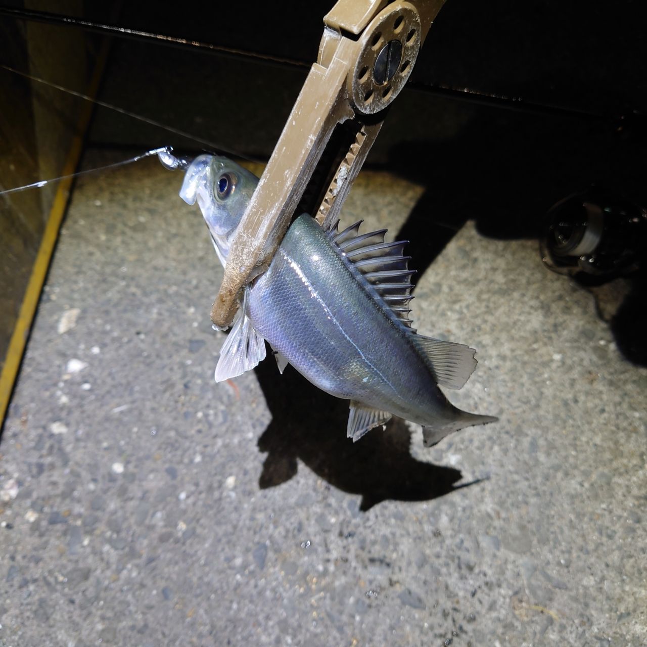 SHIMANO 22ソアレ SS アジング S64UL-Sの最安値・インプレ・釣果