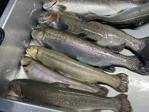 リヴァスポット早戸