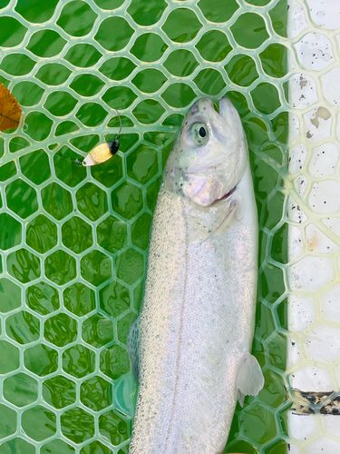 西武園ゆうえんちフィッシングランド