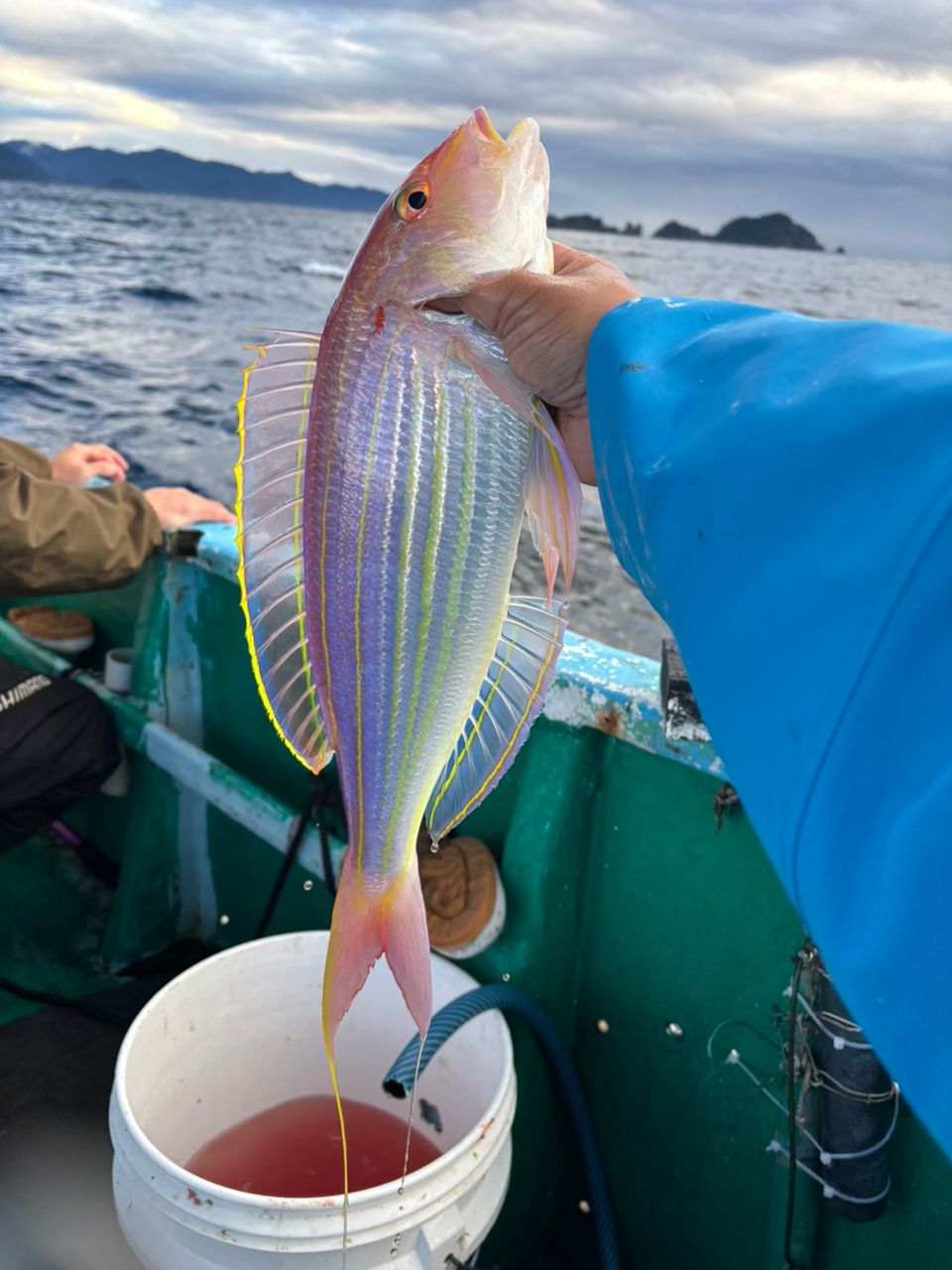 detakaさんの釣果 1枚目の画像