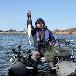 アメリカンキャットフィッシュ