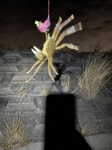 長良川揖斐川合流点