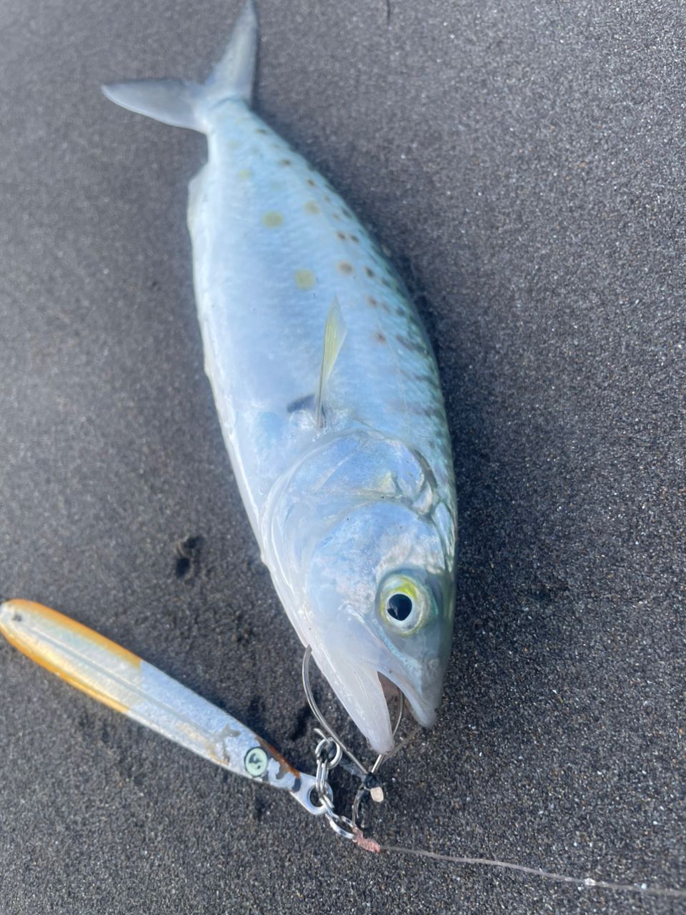 SHIMANO 22コルトスナイパー XR MB S100H-5の最安値・インプレ・釣果