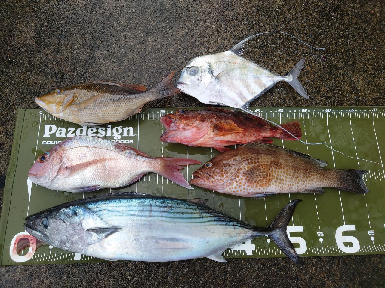 MajorCraft NEW フルソリ ライトジギング FSLJ-B64Mの最安値・インプレ