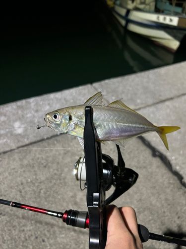 神戸港（延岡）