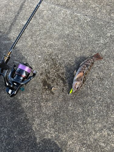 船越湾（岩手）