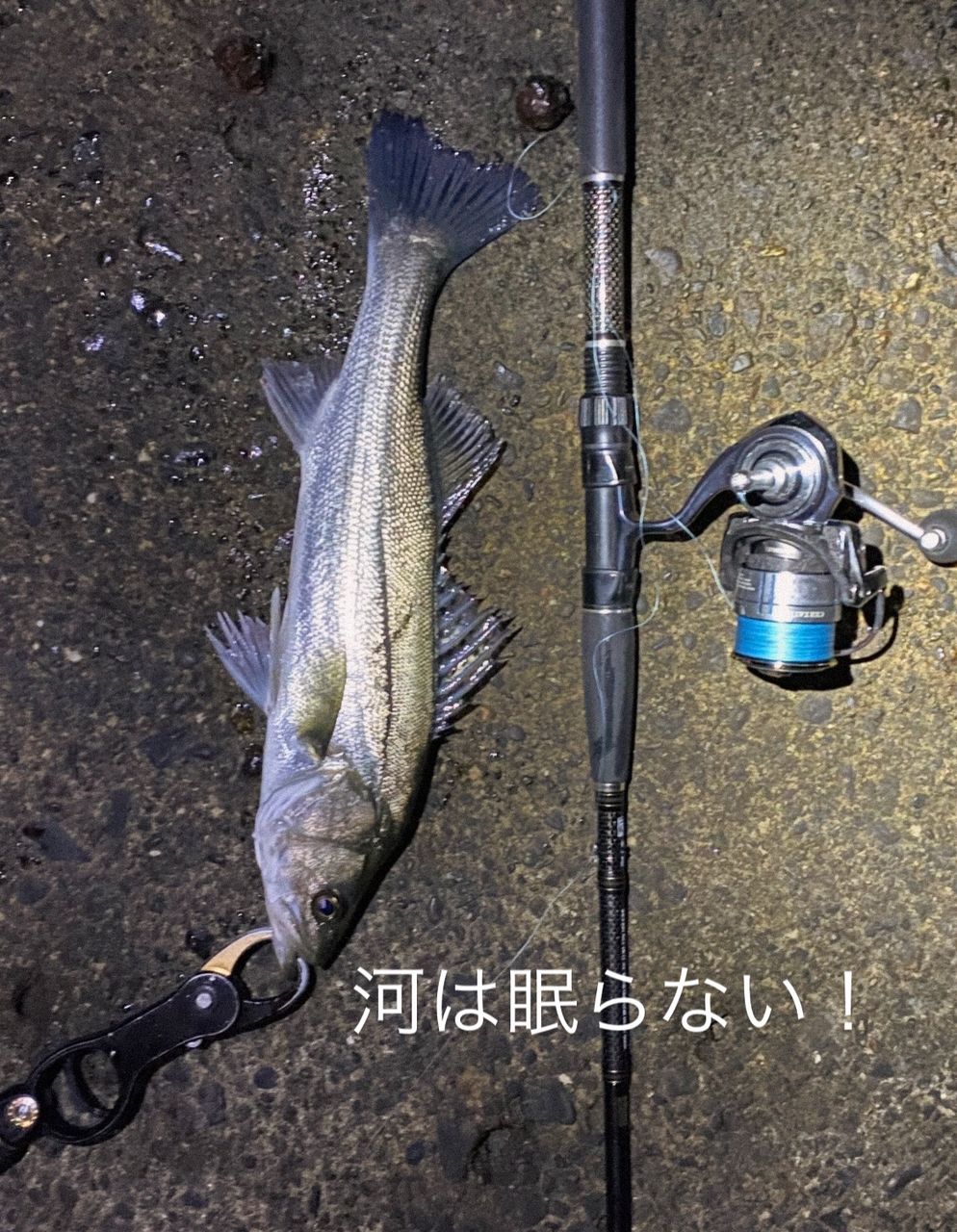 DAIWA 19モアザン（スピニングモデル） EX 87MLの最安値・インプレ