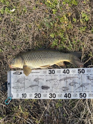 印旛沼中央排水路