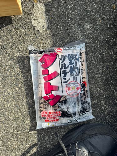 ヘラブナの釣果