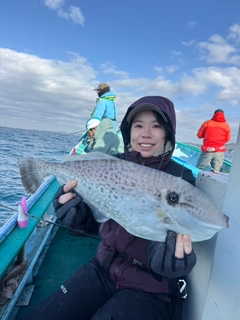カワハギの釣果