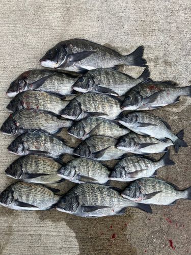 苅田南港南防波堤