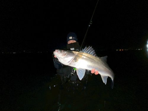 東京湾（アクアライン以北）