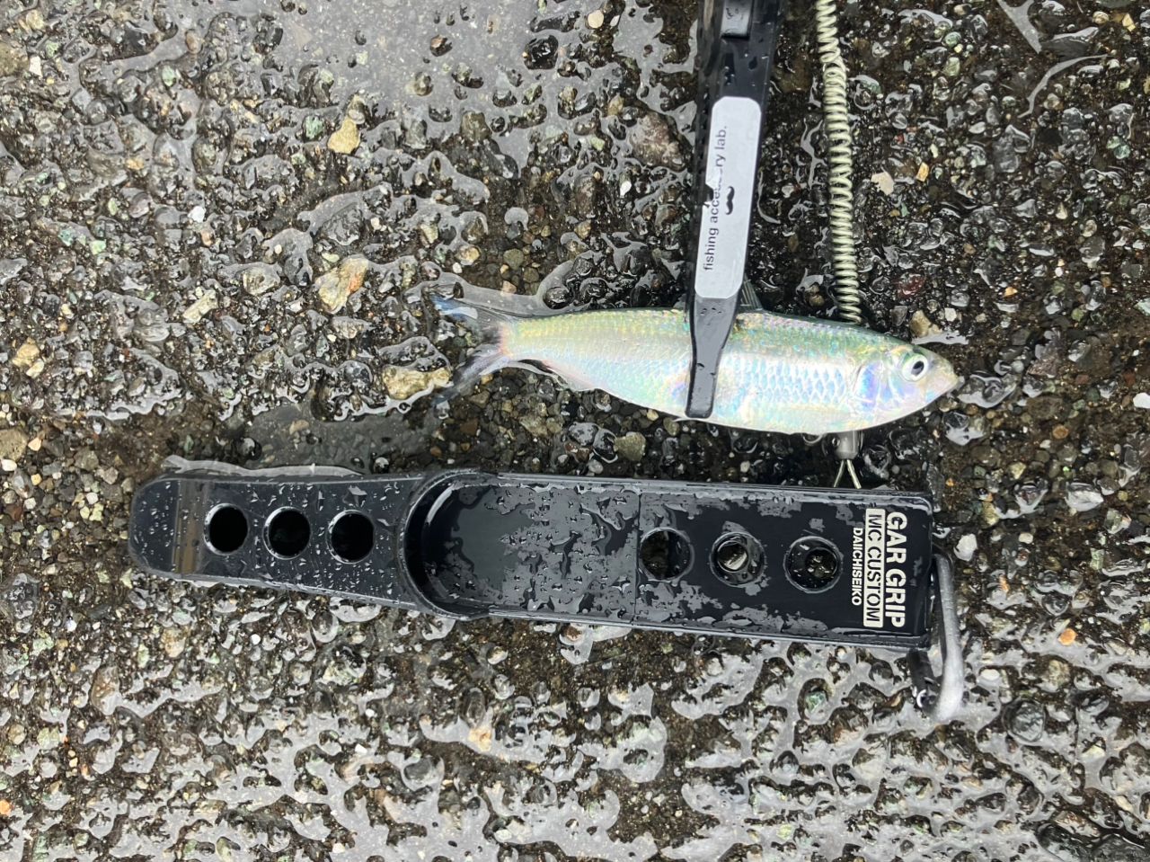 OLYMPIC 23コルト UX 23GCORUS-542UL-Sの最安値・インプレ・釣果