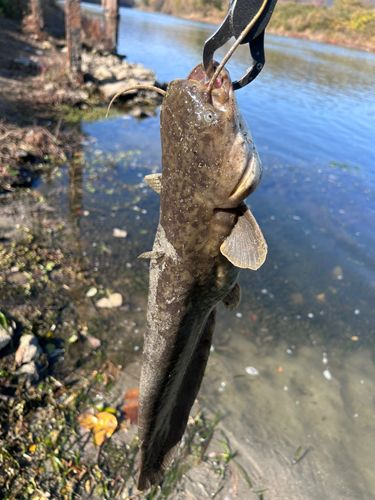 木津川下流（京都）