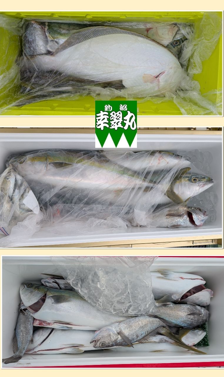 幸翠丸さんの釣果 2枚目の画像