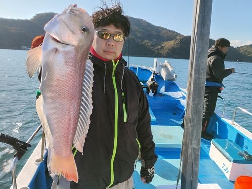 アマダイの釣果