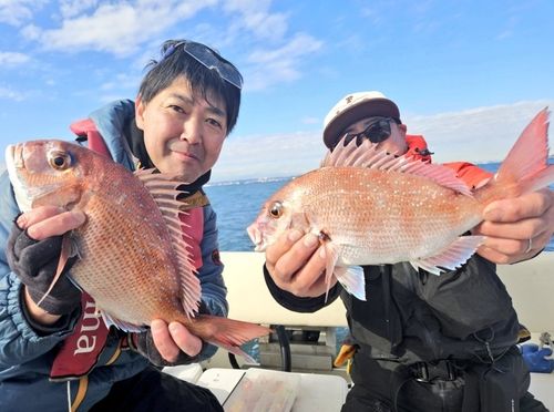 マダイの釣果