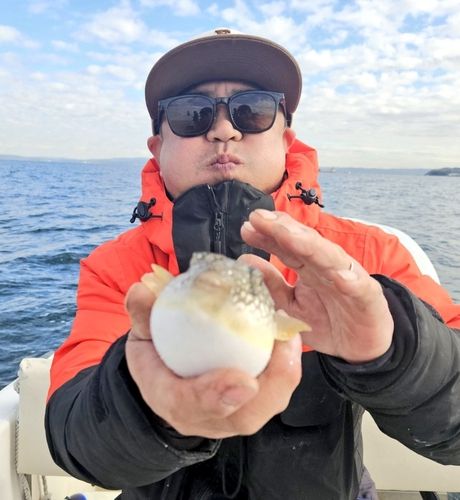 フグの釣果