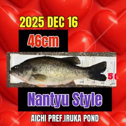 ラージマウスバス