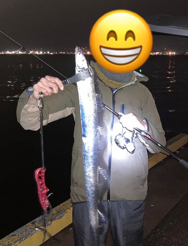 タチウオの釣果