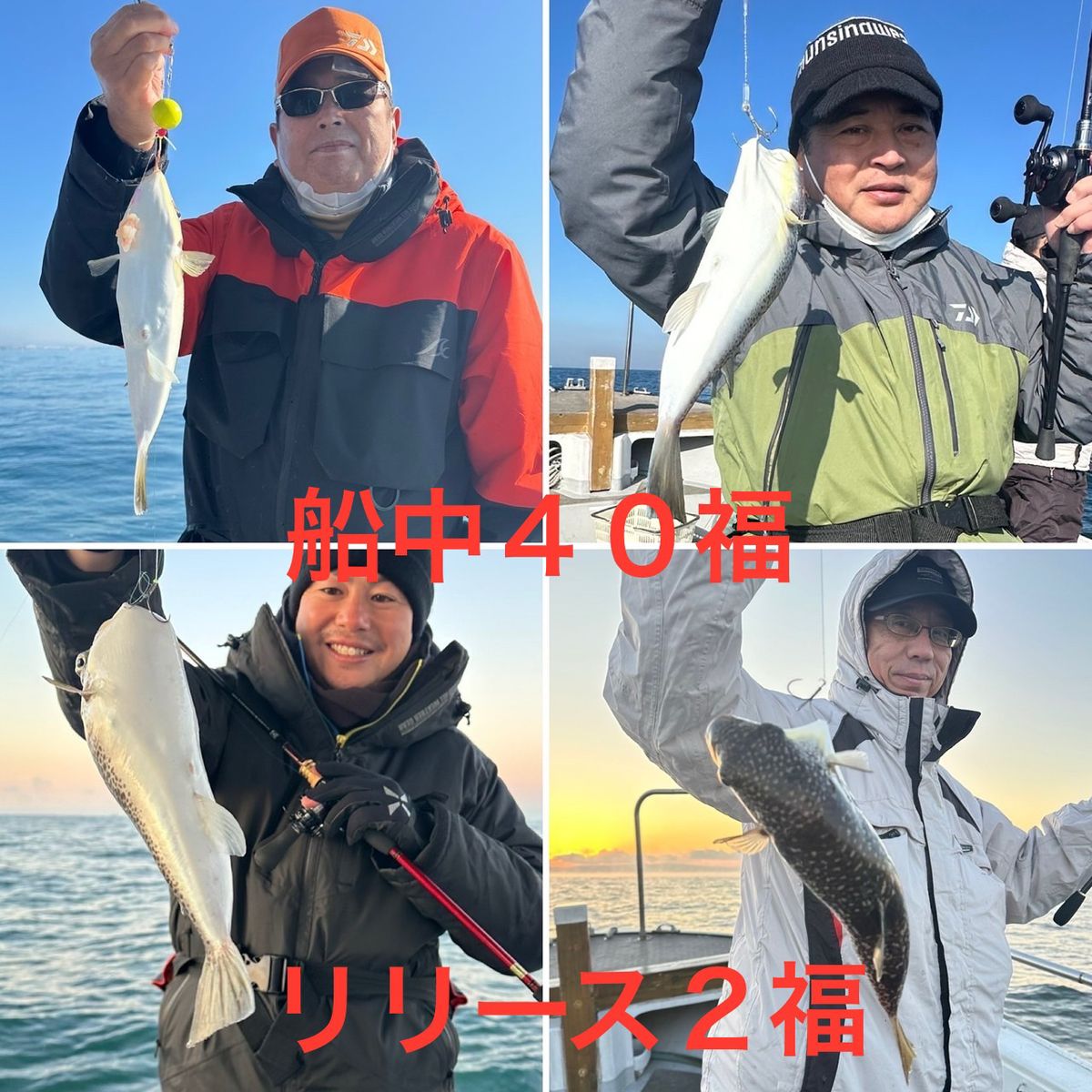 ショウサイフグ