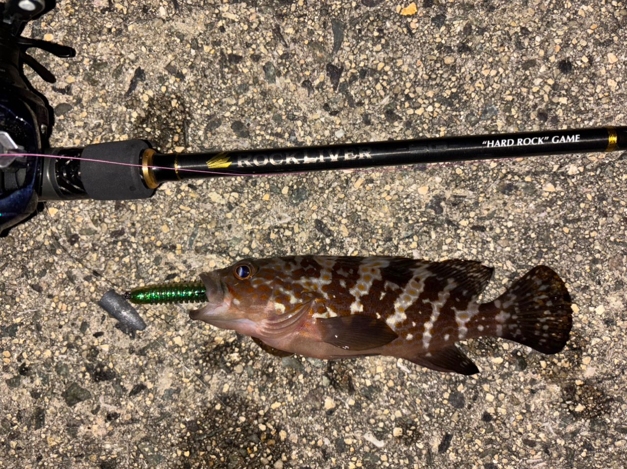 MajorCraft 23ロックライバー 5G RV5-802MH/Bの最安値・インプレ・釣果