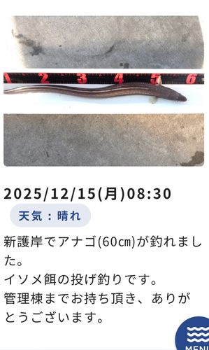 本牧海づり施設