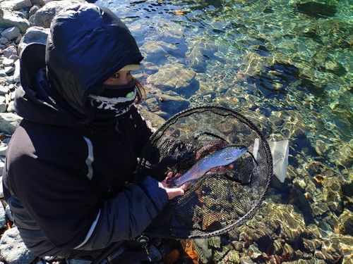 うらたんざわ渓流釣場