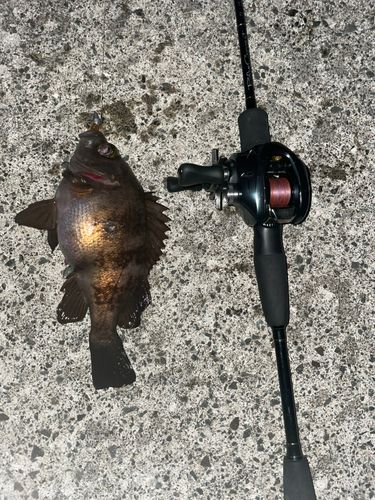 小湊漁港（青森）