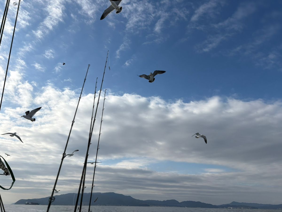 食べ放題さんの釣果 2枚目の画像