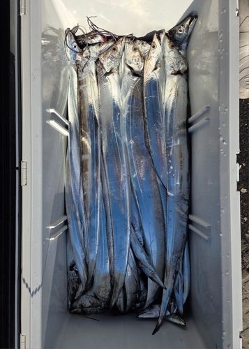 三陸海岸（宮城）