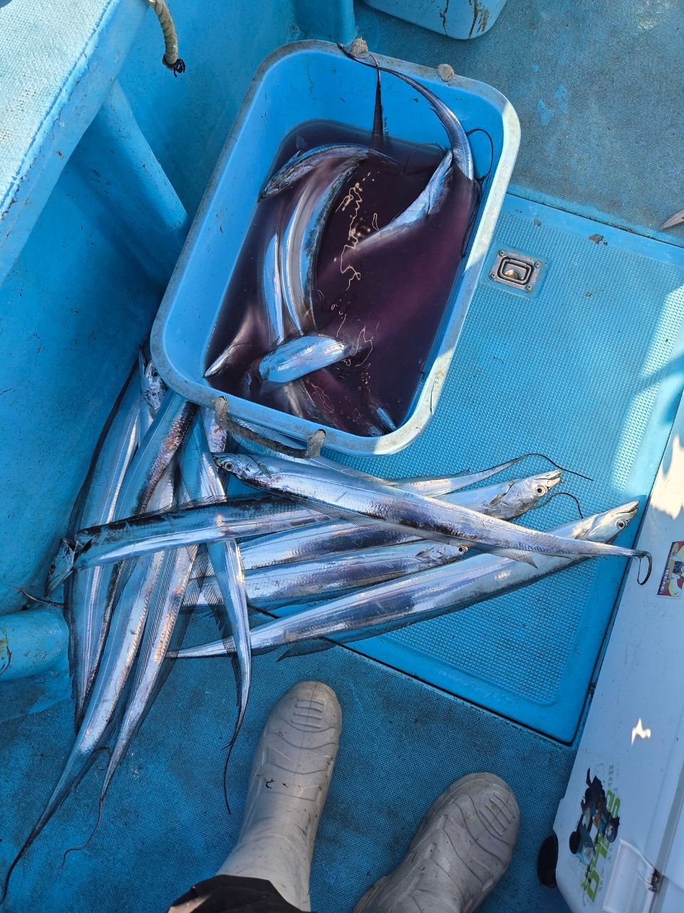 謎アングラ～Mさんの釣果 2枚目の画像