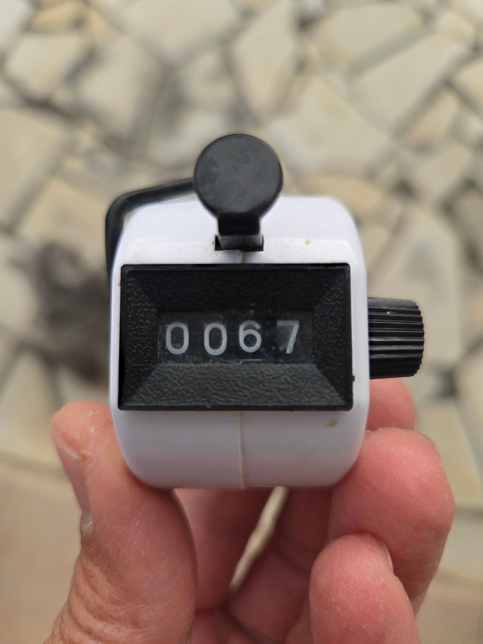 謎アングラ～Mさんの釣果 3枚目の画像