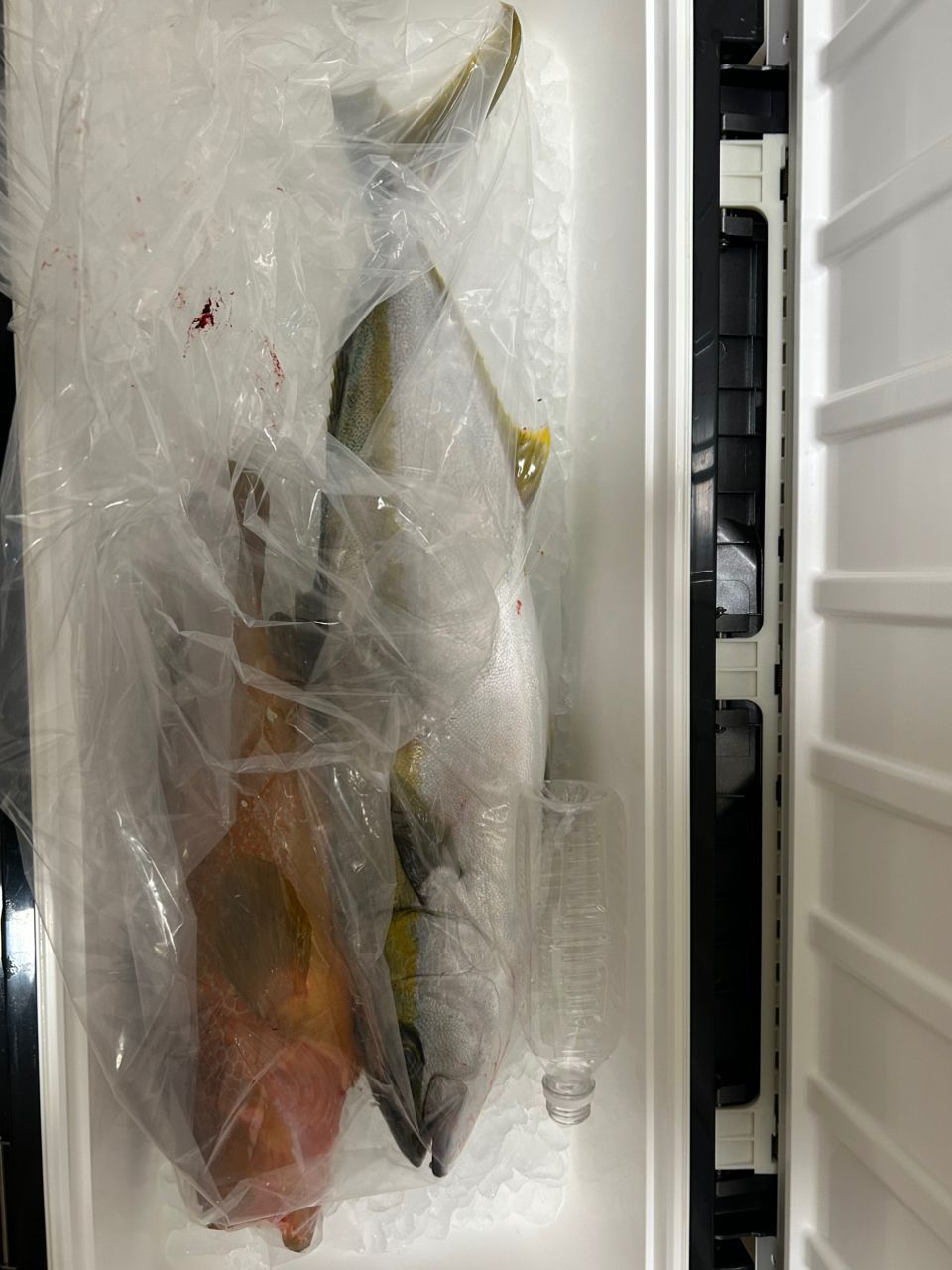 SHIMANO コンセプトS S62-3 シマノ オシア ジガー コンセプトS S62-3 (ロッド・釣竿) 価格比較