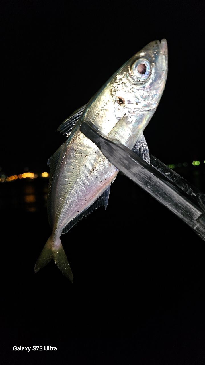 TENRYU ルナキア LK532S-ULSの最安値・インプレ・釣果 | 本音の口コミ