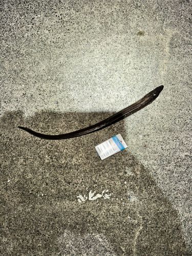 小名浜港市場前