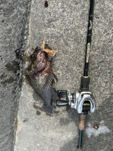 船越湾（岩手）