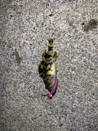 白子漁港（三重）