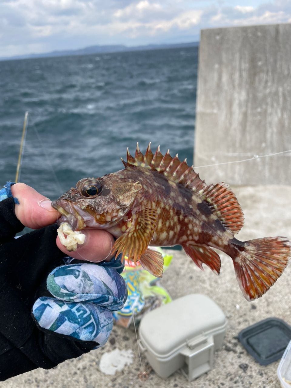 AbuGarcia ズームサファリ ZMSS-605Lの最安値・インプレ・釣果 | 本音