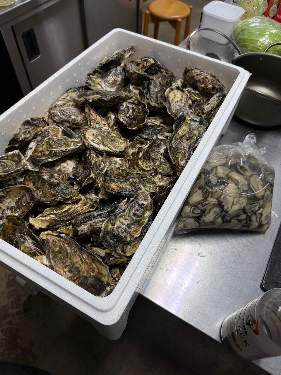 遊漁船supportさんの釣果 2枚目の画像