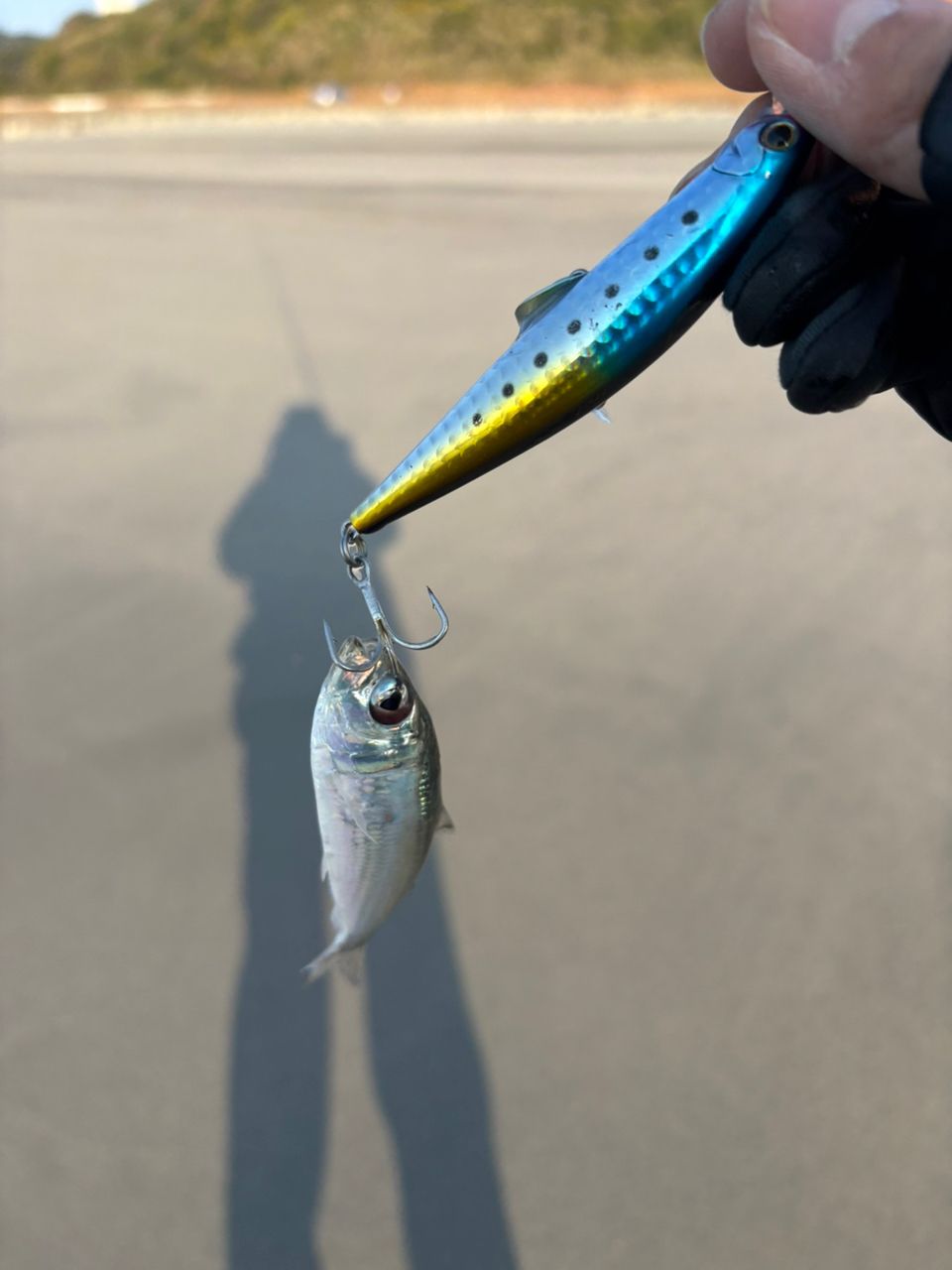 SHIMANO 22ネッサXR S110M/MHの最安値・インプレ・釣果 | 本音の口コミ